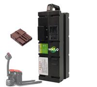 WILLQ Batería de litio de 25,2 V/25,6 V/25,67 V y 40 Ah; batería de 48,3 V/46,8 V y 20 Ah para transpaleta eléctrica con motor de 1000 W,Amc1 i 46.8v20ah lmo
