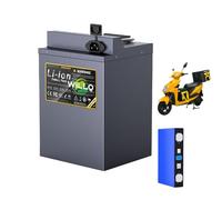 WILLQ Batería de Litio de 48 V (15 Ah - 100 Ah) para Bicicletas y Motos eléctricas, con Placa BMS.,48v25ah