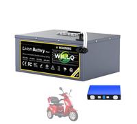 WILLQ Batería de Litio de 48 V (15 Ah - 100 Ah) para Bicicletas y Motos eléctricas, con Placa BMS.,48v90ah