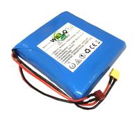 WILLQ Batería de Litio de Repuesto para Monociclo 16S1P de 132 WH, 60 V, 2,2 AH, Paquete de batería de Iones de Litio de PVC, 2200 mAh, Recargable, Accesorio para Coche de Equilibrio