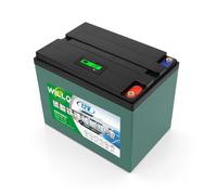 WILLQ Batería de Litio LiFePO4 12 voltios 12V 18Ah 24Ah 30Ah 36Ah 42Ah 50Ah 60Ah 66Ah Recargable Ciclo Profundo para detectores de Peces, Sistemas solares y Camping al Aire Libre,12v50ah