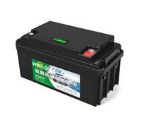 WILLQ Batería de Litio LiFePO4 12 voltios 12V 18Ah 24Ah 30Ah 36Ah 42Ah 50Ah 60Ah 66Ah Recargable Ciclo Profundo para detectores de Peces, Sistemas solares y Camping al Aire Libre,12v66ah