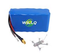 WILLQ Batería de polímero de Litio LiPo de Repuesto de 8000 mAh 6S2P 10C 22,2 V de Alta Potencia para Drones y Modelos de radiocontrol.