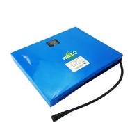 WILLQ Batería LiFePO4 de 12,8 V para alumbrado público Solar | Batería litio 12V 10Ah 15Ah 21Ah 30Ah batería respaldo para alumbrado público LED, diseño plano, carcasa PVC, ligera