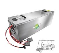 WILLQ Batería portátil LiFePO4 para Exteriores 24V 48V 60V 25.6V 51.2V 64V 100Ah 150Ah 300Ah de Litio para Carrito de Golf, RV, Almacenamiento de energía y Luces de Emergencia,60v150ah