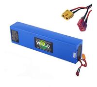 WILLQ Batería Recargable de Iones de Litio de 48 V, 10 Ah, 13 Ah, para Patinete eléctrico Plegable con BMS y Puerto T+XT60 para Motor de Bicicleta de 250 W, 500 W y 650 W.,48v13ah