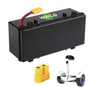 WILLQ Batería Repuesto Hoverboard 54V 36V 2,5Ah 3Ah Recargable de Iones de Litio con Conector XT60 para Kit de conversión de Motor de Scooter de Equilibrio de 0 a 162W,54v,3Ah