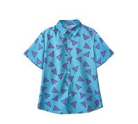 Willyacos Rocko's Modern Life Shirt Blue Triangle Rocko - Camiseta de disfraz de los años 90, camisa hawaiana con botones para hombre, Azul, Medium