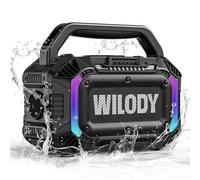 Wilody Altavoz Bluetooth Potente 100W,Altavoces Bluetooth Grande,Altavoces Bluetooth Exterior con IPX7 Resistente al Agua,EQ,RGB,USB,batería de 20 Horas,TWS,BT5.3（L-Negro）
