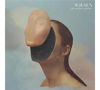 Wilsen - I Go Missing In My Sleep [Vinilo]