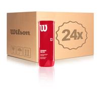 Wilson 24 Botes De 3 Pelotas Padel X3 Ball En Caja