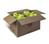 Wilson Caja de 72 Pelotas Triniti Club