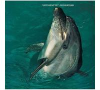 Wilson, Joe Lee - Hey Look at You