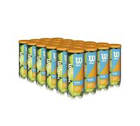 Wilson Prime All Court - Pelota de Tenis - 1 Estuche (72 Pelotas)