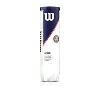 WILSON Roland Garros TNS Ball, Tubo de 4 Pelotas, Todas Las Superficies, Unisex-Adulto, Yellow, 4 Balls