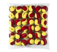 Wilson Starter Red (36 Pack) Pelotas de tenis infantiles
