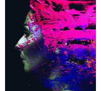 Wilson,Steven - Hand.Cannot.Erase [Vinilo]