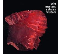 Wim Mertens - A Starry Wisdom