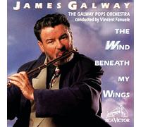 Wind Beneath My Wings by James Galway (1991-09-10)
