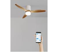 WIND CALM LINE - Ventilador De Techo 40W Silencioso Ø132 Cm 100% Madera WIFI + Mando A Distancia