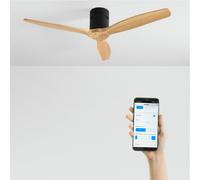 WIND CALM - Ventilador De Techo 40W Silencioso Con Aspas De ABS Técnico Varios Tamaños Sin Luz