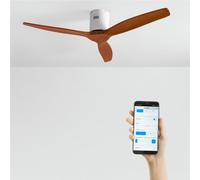 WIND CALM - Ventilador De Techo 40W Silencioso Con Aspas De ABS Técnico Varios Tamaños Sin Luz