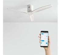 WIND CALM - Ventilador De Techo 40W Silencioso Con Aspas De ABS Técnico Varios Tamaños Sin Luz