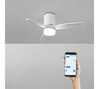 WIND CALM - Ventilador De Techo 40W Silencioso Con Aspas De ABS Técnico Varios Tamaños WIFI + Mando A Distancia