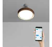 WIND CLEAR RATTAN - Ventilador De Techo 40W Silencioso Ø108cm Aspas Retráctiles Con Luz LED De 36W WIFI + Mando A Distancia