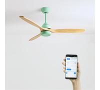 WIND CUP - Ventilador De Techo 40W Silencioso Ø132 Cm 100% Madera Sin Luz