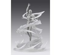 Wind White Version. Tamashii Effect. Bandai Tamashii Nations