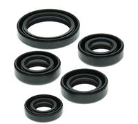 Winderosa 822138 Motor Kit de retén de Aceite