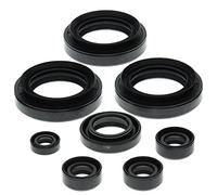 Winderosa 822152 Motor Kit de retén de Aceite