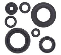 Winderosa 822154 Motor Kit de retén de Aceite