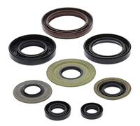 Winderosa 822218 retén de Aceite Kit