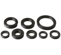 Winderosa 822228 Motor Kit de retén de Aceite