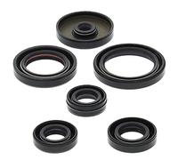 Winderosa 822229 Motor Kit de retén de Aceite