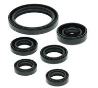 Winderosa 822238 Motor Kit de retén de Aceite