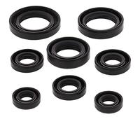 Winderosa 822255 Motor Kit de retén de Aceite