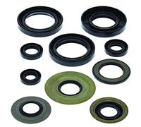 Winderosa 822279 Motor Kit de retén de Aceite