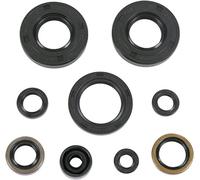 Winderosa 822292 Motor Kit de retén de Aceite