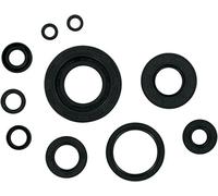 Winderosa 822304 Motor Kit de retén de Aceite