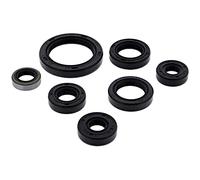 Winderosa 822323 Motor Kit de retén de Aceite