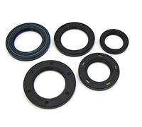 Winderosa 822332 Motor Kit de retén de Aceite