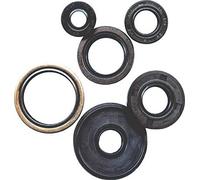 Winderosa 822357 Motor Kit de retén de Aceite