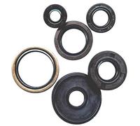 Winderosa 822692 Motor Kit de retén de Aceite