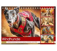 Windhunde. Seelenflüsterer zwischen Anmut, Tempo und Stille (Tischkalender 2026 DIN A5 quer), CALVENDO Monatskalender: Windhunde in Momenten voller Kraft, Ruhe und natürlicher Schönheit