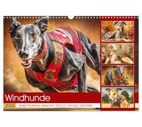 Windhunde. Seelenflüsterer zwischen Anmut, Tempo und Stille (Wandkalender 2026 DIN A3 quer), CALVENDO Monatskalender: Windhunde in Momenten voller Kraft, Ruhe und natürlicher Schönheit