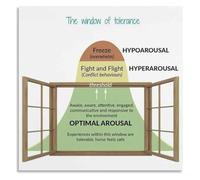 Window of Tolerance Poster for Understanding Nervous System