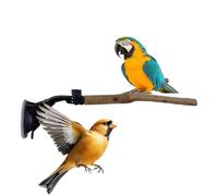 Window Perch for Birds - Movable Parrot Stand, Interactive Suction Cup Toy with Heavy Duty Grip, Avian Training Perch, Portable Bird Shower Stand, Climbing Window Platforms for Macaw Parakeet Lovebird